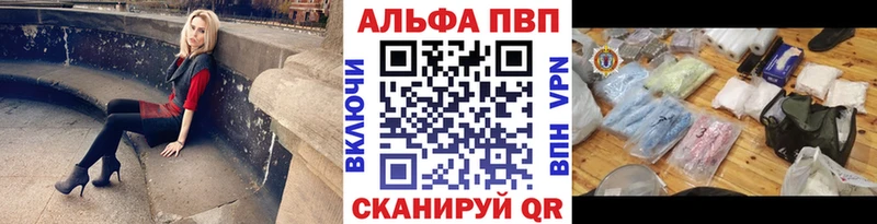 Альфа ПВП СК КРИС  Мосальск 